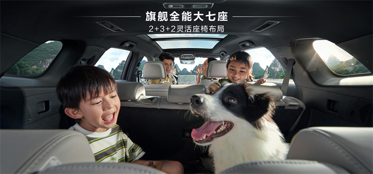 2025 BYD Tang DM-i