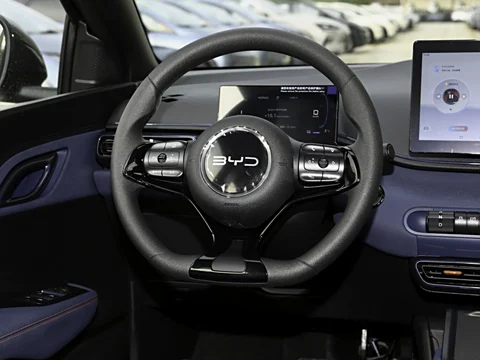  2025 BYD Seagull